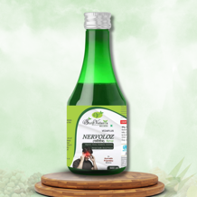 NERVOLOZ SYRUP SF (600ML)