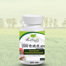 VEDAPLUS UTTAM PGPR (250ML)