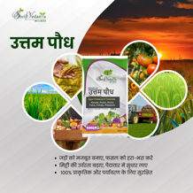 VEDAPLUS UTTAM POUDH (500GM)